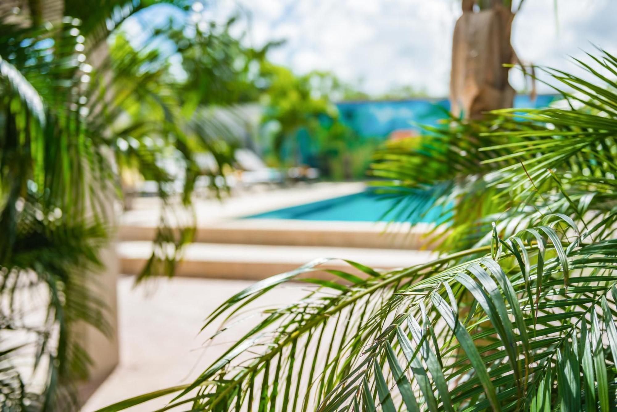 Casita Palma Boutique Resort Playa Exteriör bild